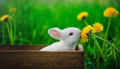 剑指荣耀：一线队迎战关键之役，沉着冷静铸就辉煌