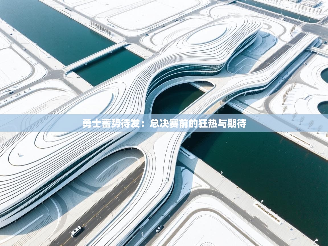 勇士蓄势待发：总决赛前的狂热与期待  第1张